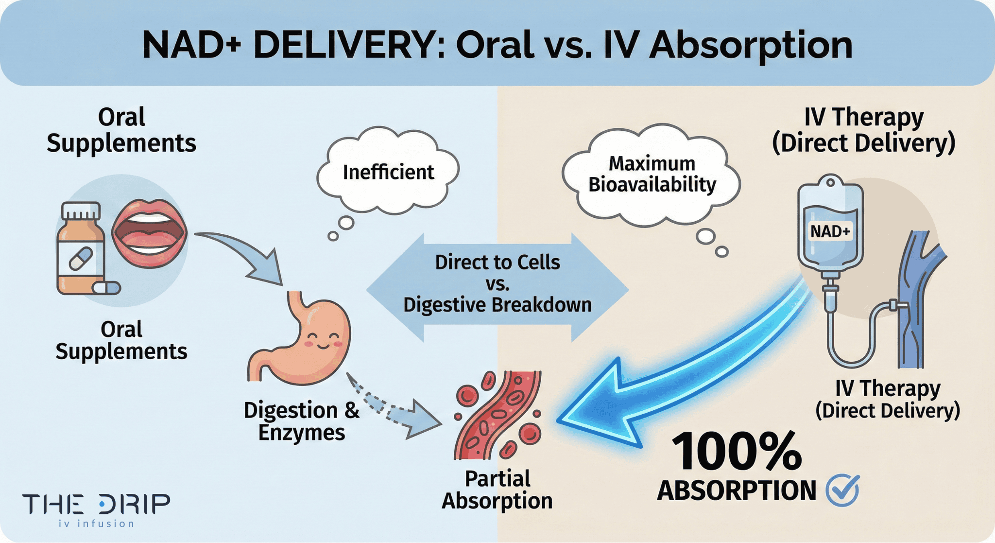 Infographic comparing NAD+ IV therapy to oral supplements with visual routes of absorption.