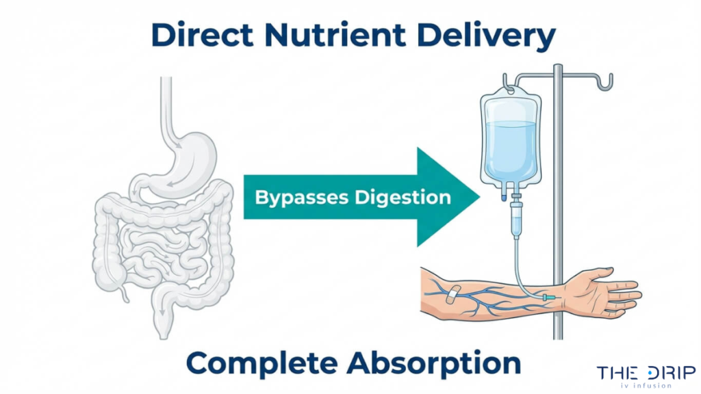 IV therapy delivering nutrients directly into bloodstream bypassing digestion for complete absorption and faster results