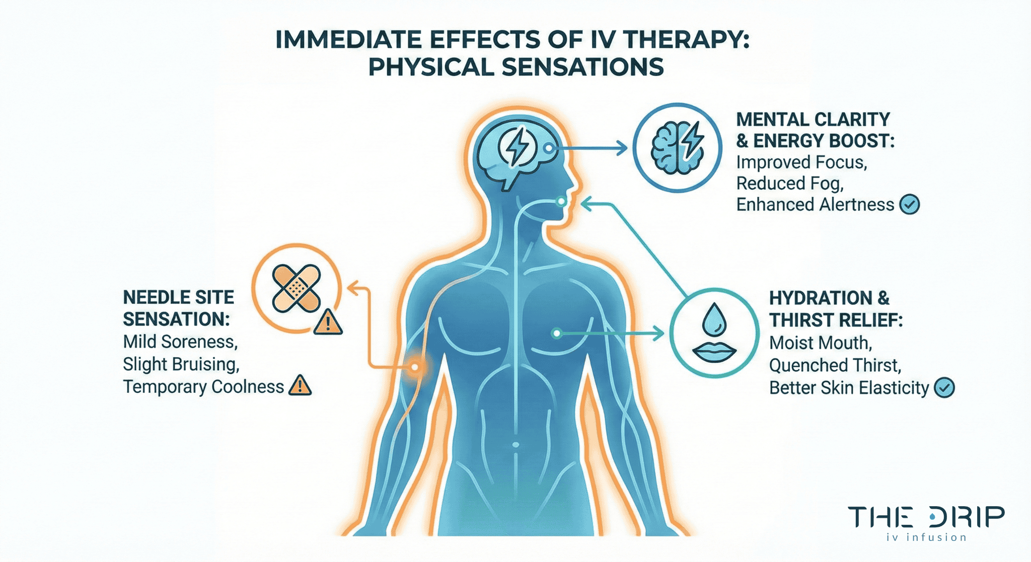 immediate-effects-iv-therapy-illustration Infographic showing where hydration, energy, and soreness manifest after IV therapy.