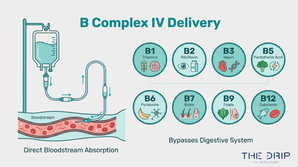 Diagram of B complex IV infusion showing direct bloodstream absorption of vitamins B1 through B12 bypassing the digestive system