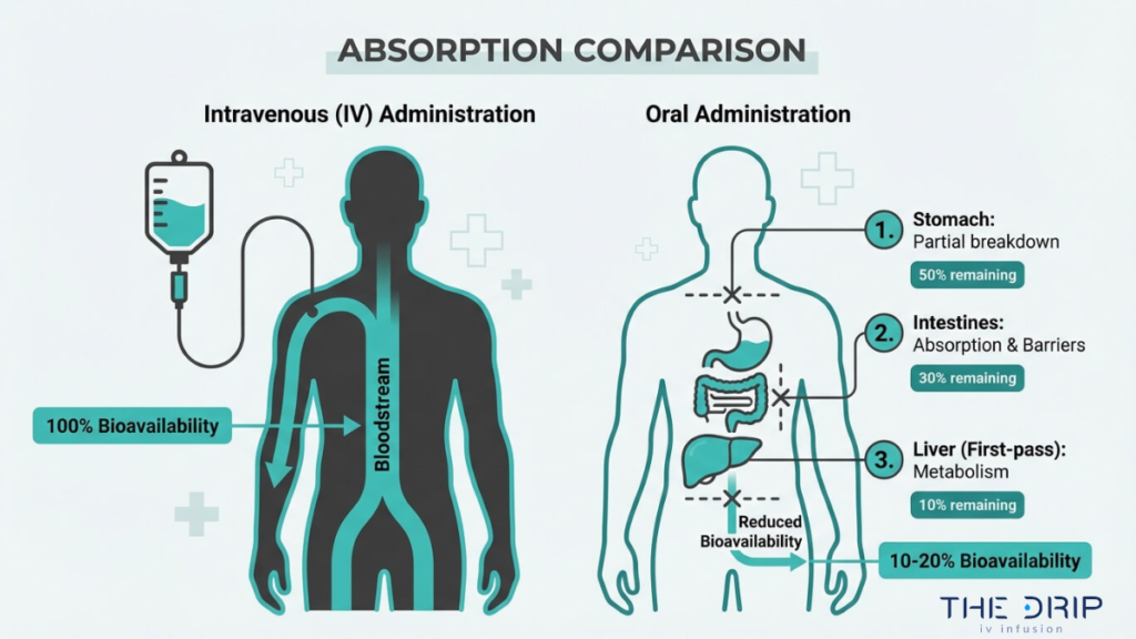 Intravenous vs oral absorption diagram showing 100 percent IV bioavailability versus reduced absorption through digestive system