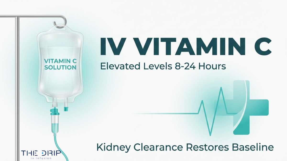 IV vitamin C infusion showing elevated nutrient levels for 8 to 24 hours with kidney clearance restoring baseline