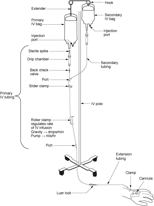iv-therapy-tubing-diagram-components Detailed labeled diagram showing parts of an IV setup and tubing components.