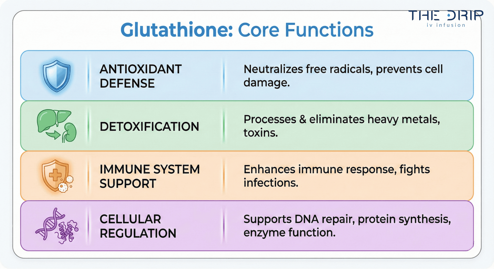 Visual summary of glutathione’s key physiological roles with corresponding icons.