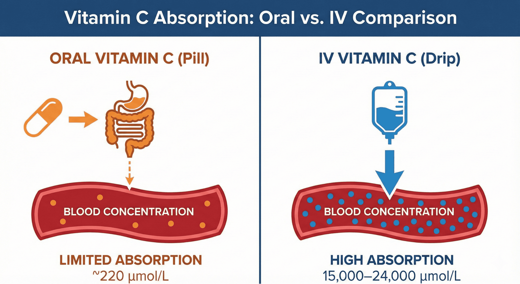Infographic comparing absorption and blood levels of oral vs. IV vitamin C.
