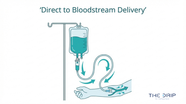 Direct to bloodstream IV delivery illustration showing how B12 infusion enters the vein for fast nutrient absorption