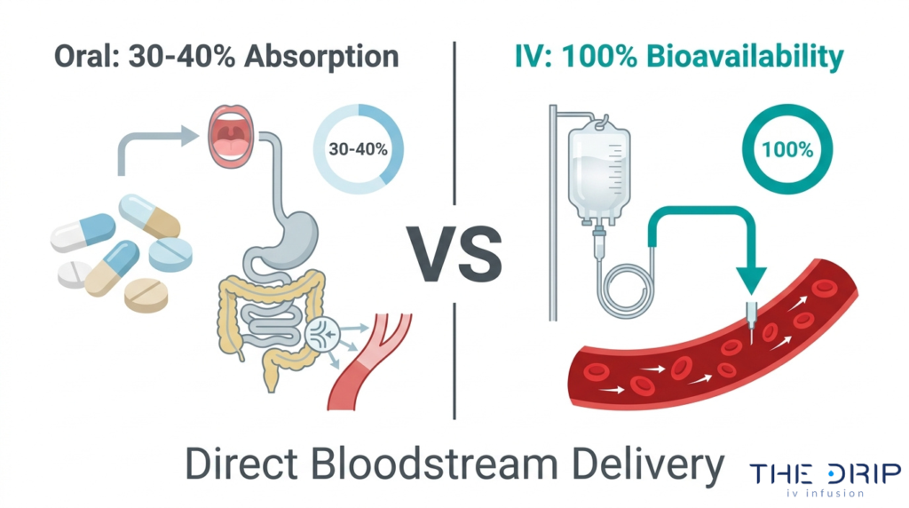 Oral absorption vs IV bioavailability comparison showing direct bloodstream nutrient delivery