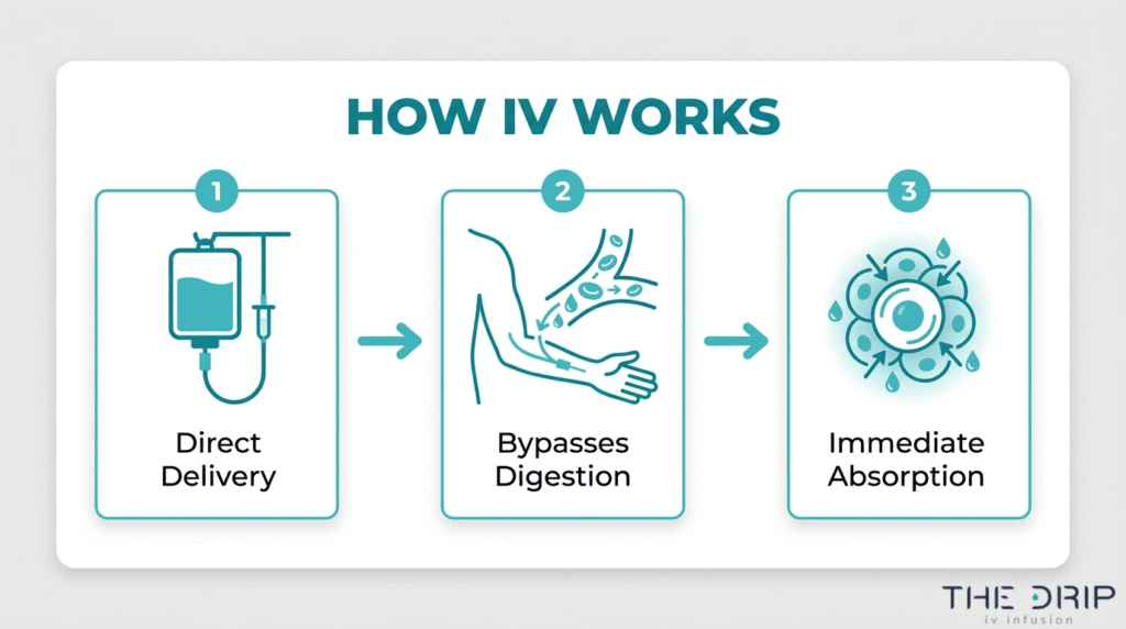 How IV hydration works diagram showing direct delivery, bypassed digestion, and immediate absorption